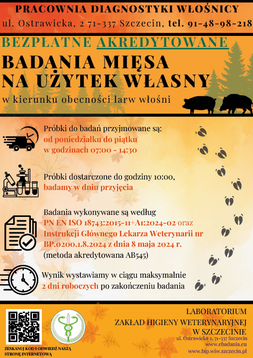 Diagnostyka w�o�nicy